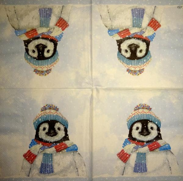 025 Pinguine - 3-lagig - Vielseidig